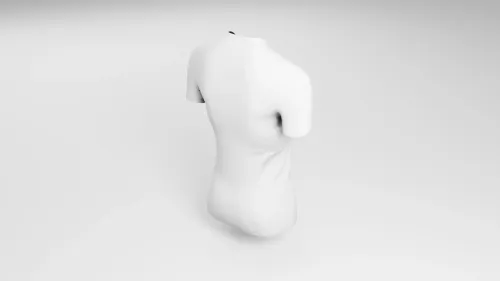 Clay render back view custom succer jersey Puma